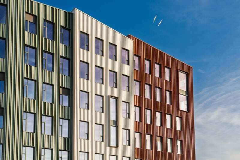 Campus Kristiansund med måker som flyr over taket