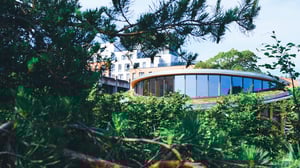 H.C. Andersens Hus sett gjennom furutrær