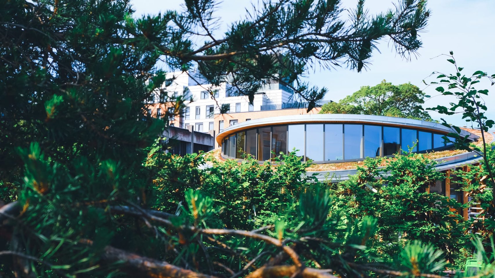 H.C. Andersens Hus sett gjennom furutrær