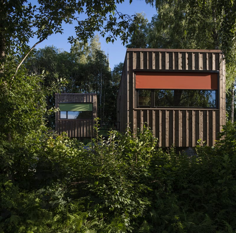 wergelandshaugen-microhus-skog